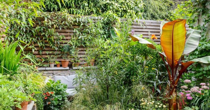Garden Fence