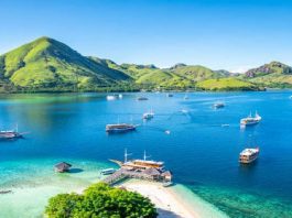 Indian families looking for Affordable Bali Tour Packages