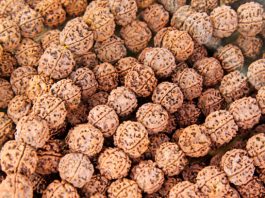 Certified Rudraksha Bannerghatta Road