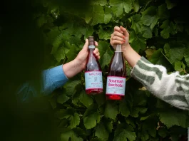 Soumah: Yarra Valley’s Italian Wine Cellar Door Yarra Valley private tour